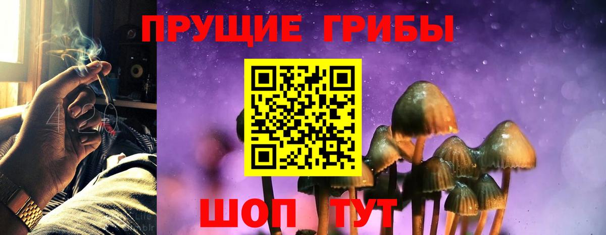 Псилоцибиновые грибы Psilocybine cubensis  Вход с VPN  Коряжма  Псилоцибиновые грибы Psilocybe 